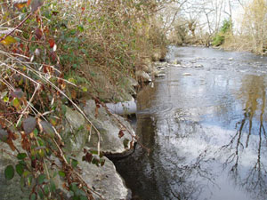 Vignette Environnement (audit et certification iso 14001 pour l’eau, l’assainissement, les déchets ; études d’impact)